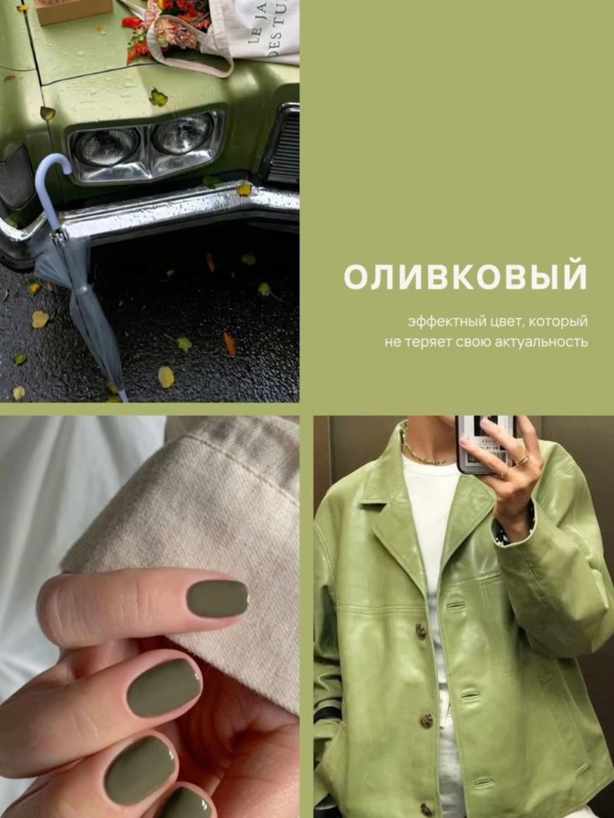 Маникюр и педикюр 48